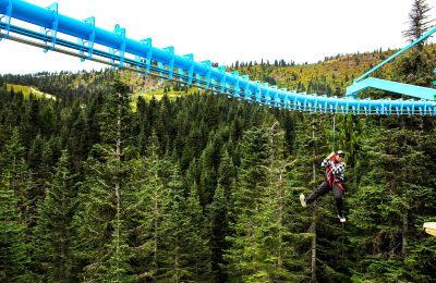 Sasquatch Mountain Resort Aerial Park Zip Line